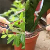 10dílná sada zahradního nářadí pro sukulenty a bonsaje, Náhled obrázku produktu 5