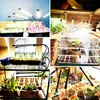 LED lampa na rastliny 4 hlavy s plným spektrom svetla pre Náhľad obrázku produktu 9