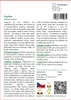 SAFLAX - kopřiva - Urtica urens - 150 Semena Náhled obrázku produktu 3