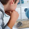 ZOLUX Rody3 Trio blue - käfig für nagetiere Produktbild-Vorschau 6