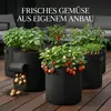 Garten Pflanzsack 6er Set XXL | 30 Liter | Mit Sichtfenster Produktbild-Vorschau 6