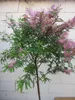 Calliandra surinamensis Dixie Pink - Rosa Produktbild-Vorschau 2