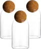 gouveo 3er Set Vorratsglas 650 ml mit Kugel-Korken - Produktbild-Vorschau 1