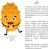 Kiwano Samen (Cucumis metuliferus) - Exotisches Horngurke Produktbild-Vorschau 7
