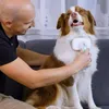 PiddiPet IonBrush Ionizační kartáč Náhled obrázku produktu 3