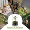 360° Cilindrisch terrarium, vivarium, acryl terrarium, Productafbeelding-voorbeeld 8