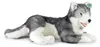 Plüsch-Husky, 60 cm, umweltfreundlich Produktbild-Vorschau 5