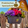 4er Set Wand Blumentopf im Set Wandblumentopf Wandtopf Produktbild-Vorschau 6