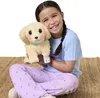 Moose Little Live Pets Ouchies Cooper The Retriever Produktbild-Vorschau 8