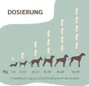 amusi Gelenktabletten Hund - Teufelskralle Hund Supplement, Produktbild-Vorschau 7