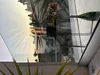 Firell Bioethanol Tischkamin aus massivem Beton Ethanol Tischfeuer Náhled obrázku produktu