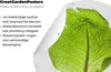 MuchoWow® Produktbild-Vorschau 4