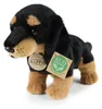 Peluche chien teckel, 23 cm, fabriquée de manière Voir les images du produit 1