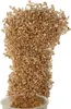 Pickerd Haselnuss-Krokant 100 g Produktbild-Vorschau 4
