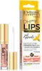 A product shot of Eveline Oh My Lips Lip Maximizer Bee Venom, showing both the product tube and its packaging. Náhľad obrázku produktu