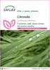 SAFLAX  - Citronella - 50 semi - Cymbopogon Anteprima dell’immagine prodotto 1