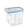 A clear, professional studio shot of a transparent food storage container with a gray lid, set against a plain white background. Anteprima dell’immagine prodotto