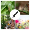 Insektenbeobachter für Kinder, transparente Beobachtungsbox Produktbild-Vorschau 3