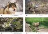 Wolfszauber DIN A3 Kalender für 2027 Wolf und Wölfe - Produktbild-Vorschau 2