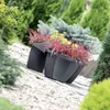 Two black planters with red and green plants are placed on a gravel path surrounded by various green shrubs and trees. Náhľad obrázku produktu