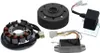 A collection of motorcycle electrical components, including a stator, flywheel, and voltage regulator/rectifier, laid out on a white background. Anteprima dell’immagine prodotto