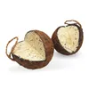 2 x 4 Stk. Lyra Pet® Gefüllte Kokosnuss mit V-Cut Produktbild-Vorschau 1