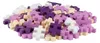 Set DANTE Plus-Plus grande fioritura 100el 3491 01858 Anteprima dell’immagine prodotto 17