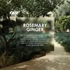Jean & Len 2800109415, Kobiety, Nawilżający, Aloes Podgląd zdjęcia produktu 6
