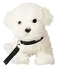 Uni-Toys - Malteser (met riem) - 26 cm (lengte) - Pluchen Productafbeelding-voorbeeld 2