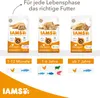 IAMS Cat Kitten Chicken 10 kg Voir les images du produit 7