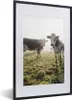 MuchoWow® Gerahmtes Poster Kühe - Licht - Gras - Tiere Produktbild-Vorschau 1