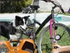 Sprężarka - bezolejowa - Super Boxy - 2 l / 1,5 KM / 8 Podgląd zdjęcia produktu 3