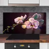 Coloray Küchenrückwand 120x60 Spritzschutz aus Glas - Produktbild-Vorschau 2