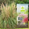 Gras-Substrat 20 l - Hochwertig - Nährstoffreich - Für Produktbild-Vorschau 8