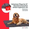 paw & pillow Coperta per cani in microfibra, cucce per Anteprima dell’immagine prodotto 4