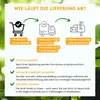 Florfliegenlarven gegen Blattläuse, Spinnmilben, Thripse & Produktbild-Vorschau 3