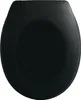 A top-down view of a black toilet seat. Náhľad obrázku produktu
