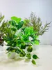 Květina v květináči - Zelený zimostráz 30 cm Náhled obrázku produktu 8