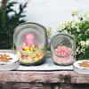 Mr. & Mrs. Panda Bonbonglas Eichhörnchen Weihnachten XL Produktbild-Vorschau 4