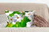 MuchoWow® Zierkissen Sofakissen Wohnzimmer Dekokissen 60x40 Produktbild-Vorschau 4