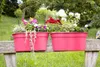 KHW Geländerblumenkasten Flowerclip XL aus hochwertigem Produktbild-Vorschau 5