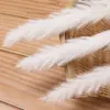 Balenie 30 ks Pampas Dekorácia sušená tráva, Sušené kvety Náhľad obrázku produktu 3