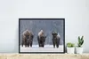 MuchoWow® MuchoWow® Gerahmtes Poster Tiere - Schnee - Produktbild-Vorschau 4