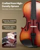 VEVOR violino 4/4, lunghezza braccio 584,2 mm, set di Anteprima dell’immagine prodotto 2