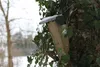 Nistkasten-Gartenbaumläufer-Kleiber Produktbild-Vorschau
