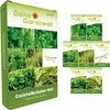Cocktailkräutersamen Set - 7 Sorten Samen - Saatgut Produktbild-Vorschau 1