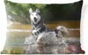 MuchoWow® Outdoor Kissen - Husky im Wasser - 50x30 cm - Produktbild-Vorschau 1