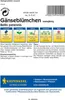 [STREICHUNG 2024] Gänseblümchen | Gänseblümchensamen von Produktbild-Vorschau 2