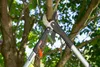 GARDENA SmartCut Ratschen-Astschere Produktbild-Vorschau 3