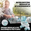 Apollo Super Quad regulowane LED wrotki dla dzieci - Podgląd zdjęcia produktu 2
